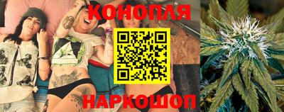дживик Моздок