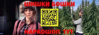 дживик Моздок