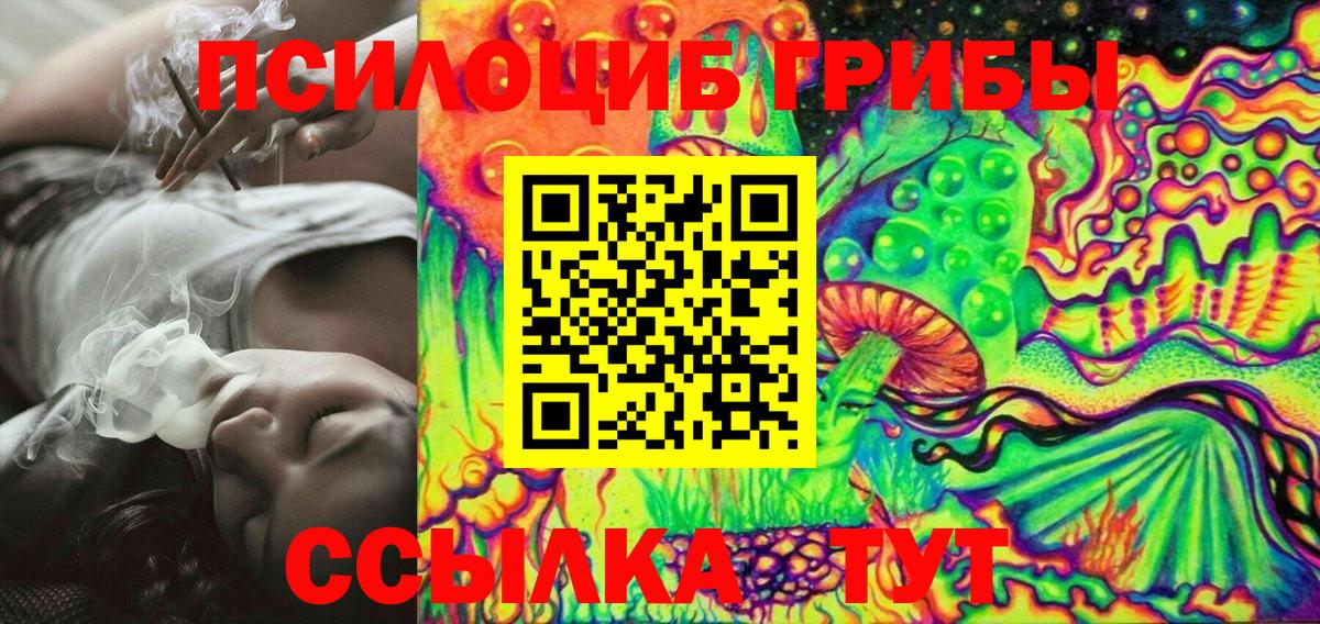 сколько стоит  Вход с VPN  Тельмана  Псилоцибиновые грибы Psilocybe 