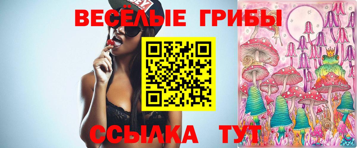 Псилоцибиновые грибы прущие грибы Тельмана